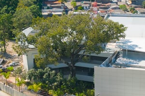 PLAZA MUNDO NUEVA ETAPA - 07 OCT 2010 - 8